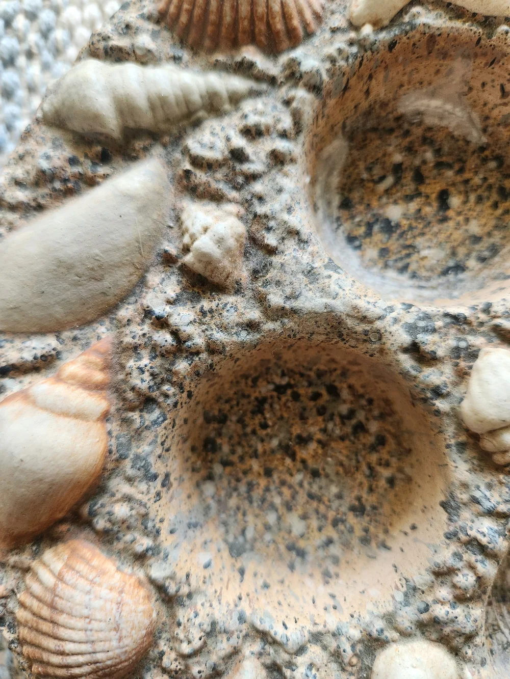 Seashell Decorative Tealight Holder - Coastal Beige